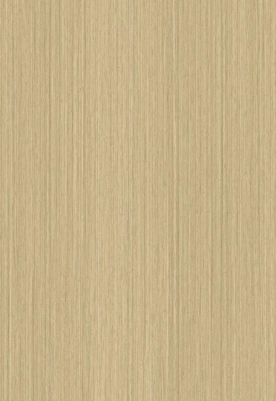 81031